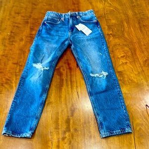 Zara Distressed Jeans